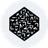 NUMERAIRE