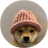 DOGWIFHAT