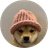 Dogwifhat