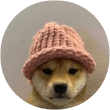Dogwifhat